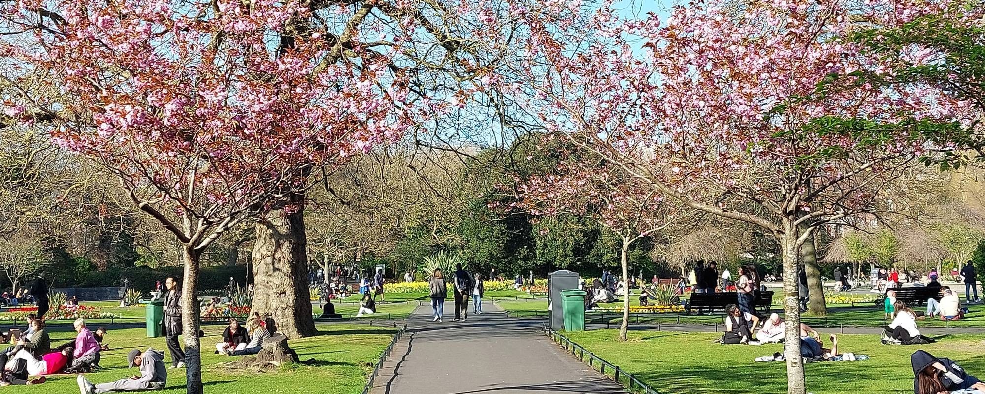 St-Stephens-Green-Dublin-Payless-Car Rental (1).jpg